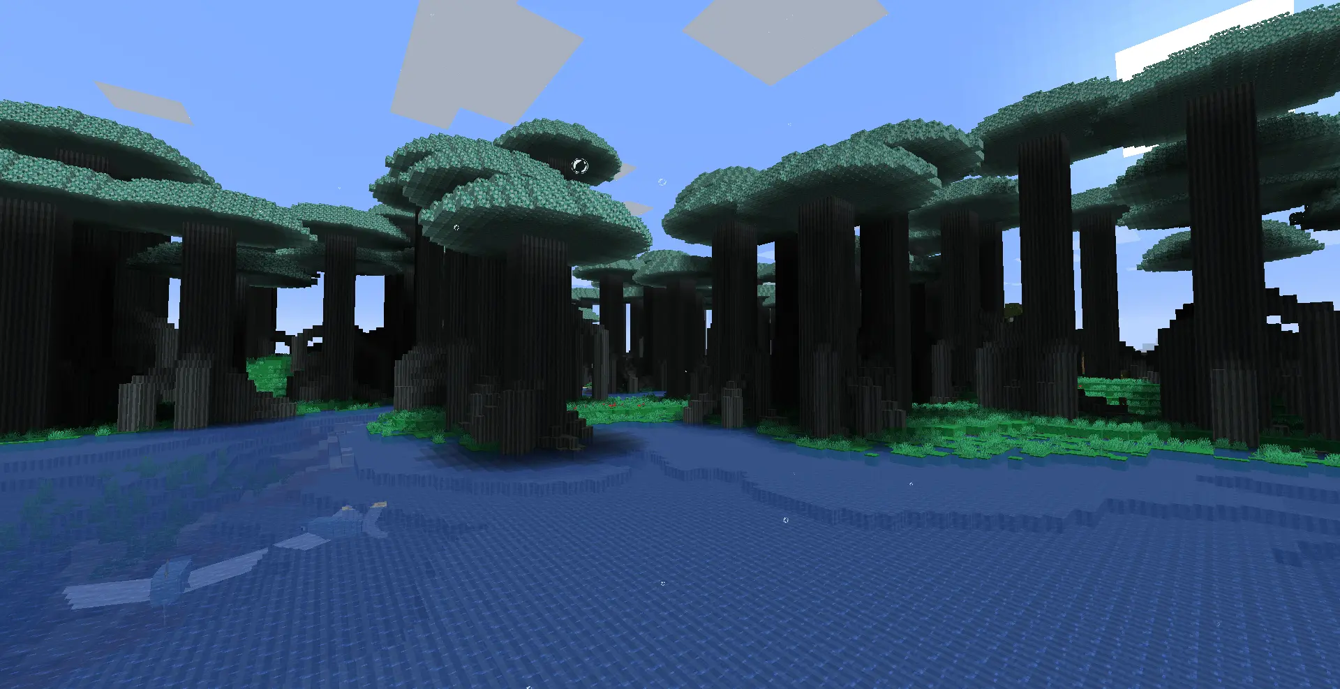 Sabaody
